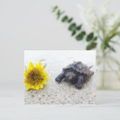 Baby schildpad met dandelion briefkaart (Staand voorkant)