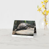 baby schildpad notecard (aanmoediging) kaart (Gele Bloem)