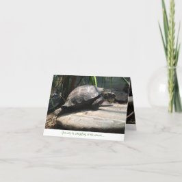 baby schildpad notecard (aanmoediging) kaart