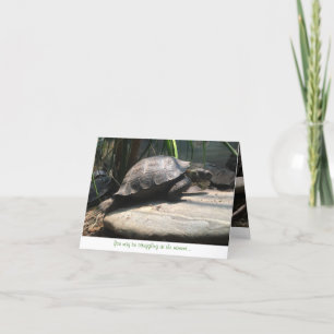 baby schildpad notecard (aanmoediging) kaart