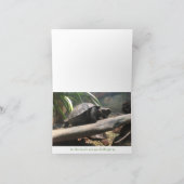 baby schildpad notecard (aanmoediging) kaart (Binnen)
