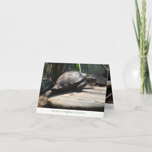 baby schildpad notecard (aanmoediging) kaart (Voorkant)