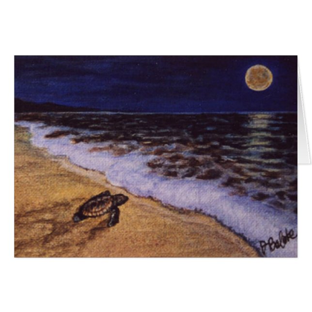 baby schildpad op het strand van costa rica (Voorkant Horizontaal)