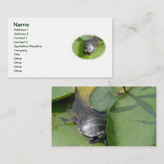 Baby Schildpad op het Visitekaartje van het Lilypa (Voorkant / Achterkant)