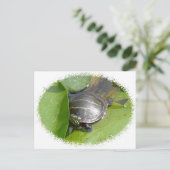 Baby schildpad op Lilypad Items Briefkaart (Staand voorkant)
