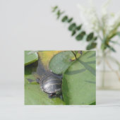 Baby schildpad op Lilypad Items Briefkaart (Staand voorkant)