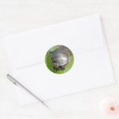 Baby schildpad op Lilypad Items Ronde Sticker (Envelop)