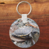 baby schildpad sleutelhanger (Voorkant)