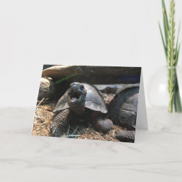baby schildpad wenskaart (gefeliciteerd) kaart
