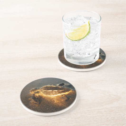 Baby schildpad zandsteen onderzetter (Zijkant)