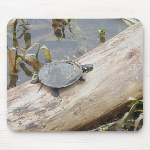 Baby schildpadschildpad muismat