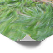 baby Schotse hoogland koe Poster (Hoek)