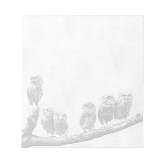 Baby Screech Owls Notitieblok (Voorkant)