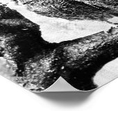 Baby Screech Owls Poster (Hoek)