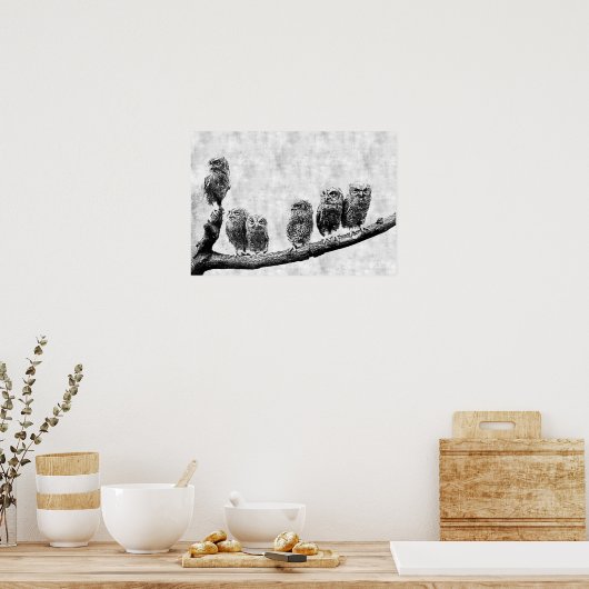 Baby Screech Owls Poster (Keuken)