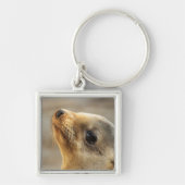 Baby Sea Lion Face Sleutelhanger (Voorkant)