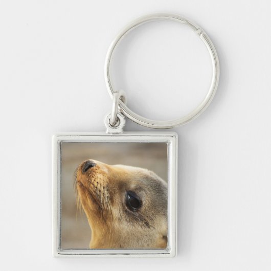 Baby Sea Lion Face Sleutelhanger (Voorkant)