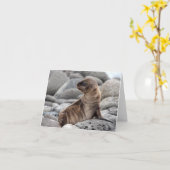 Baby Sea Lion Greeting Card Kaart (Gele Bloem)