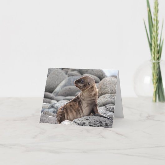 Baby Sea Lion Greeting Card Kaart (Voorkant)