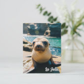 Baby Sea Lion La Jolla California Postcard Briefkaart (Staand voorkant)
