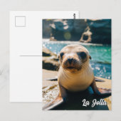 Baby Sea Lion La Jolla California Postcard Briefkaart (Voorkant / Achterkant)