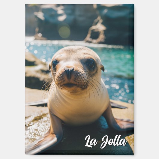 Baby Sea Lion La Jolla California Postcard Magneet (Voorkant)
