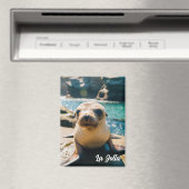 Baby Sea Lion La Jolla California Postcard Magneet (Insitu (Vaatwasser))