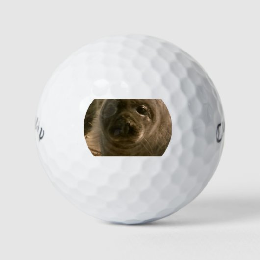Baby seal gezicht golfballen (Voorkant)