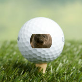 Baby seal gezicht golfballen (Insitu Shirt)