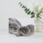 Baby Seal Kissingmam Briefkaart (Staand voorkant)