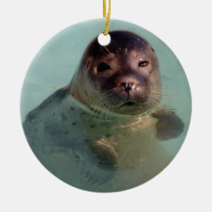 Baby Seal Ornaemnt Keramisch Ornament
