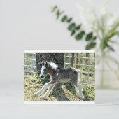 Baby Shaolin 2 Briefkaart (Staand voorkant)