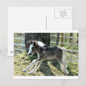 Baby Shaolin 2 Briefkaart (Voorkant / Achterkant)