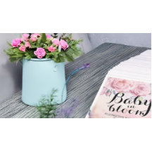 Baby shower Baby in Bloom Boho Flowers & Feathers