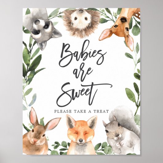 Baby shower-baby's van bossen zijn zoete gebarsten poster (Voorkant)
