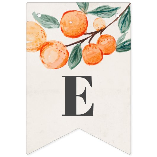 baby shower banner sinaasappel (Derde vlag)