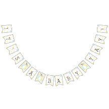 Baby shower Beach Ball, Swallowtail Banner