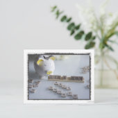 Baby shower Boy Briefkaart (Staand voorkant)