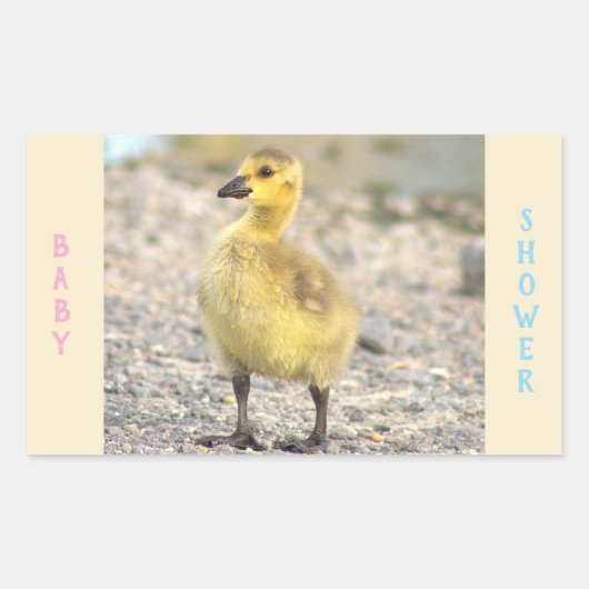 Baby shower Gosling Stickers (Voorkant)