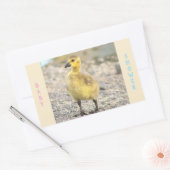 Baby shower Gosling Stickers (Envelop)