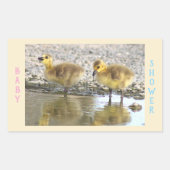 Baby shower Goslings Stickers (Voorkant)