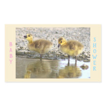 Baby shower Goslings Stickers