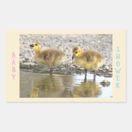 Baby shower Goslings Stickers