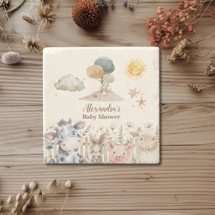 Baby shower landbouwhuisdieren stenen onderzetter