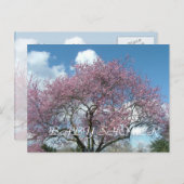 baby shower-, lentescherry-bloesem uitnodiging briefkaart (Voorkant / Achterkant)