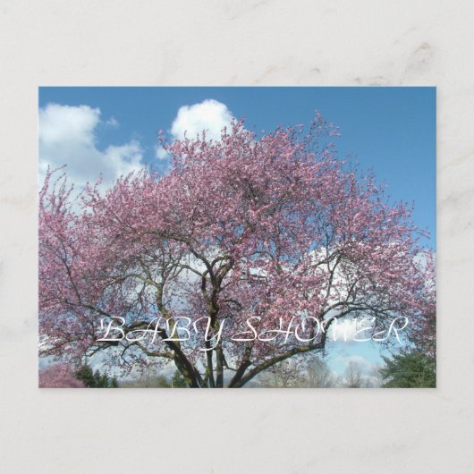 baby shower-, lentescherry-bloesem uitnodiging briefkaart (Voorkant)