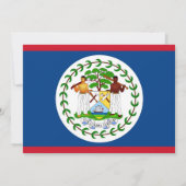 Baby shower met de vlag van Belize Kaart (Achterkant)