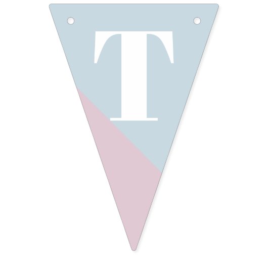 Baby shower met roze blauwe tinten vlaggetjes (Eerste vlag)