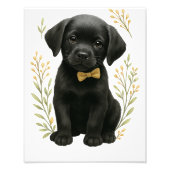 Baby Shower Muur Kunst Foto Afdruk (Voorkant)