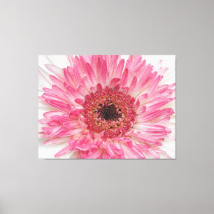 Baby shower Roze ventilator - Roze ontwerp Canvas Afdruk